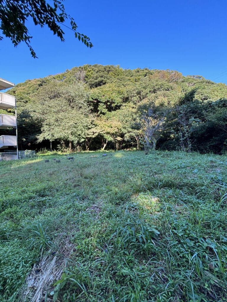 京急電鉄「三浦の森プロジェクト」 ― 森を守り、活かし、つなぐ取り組み