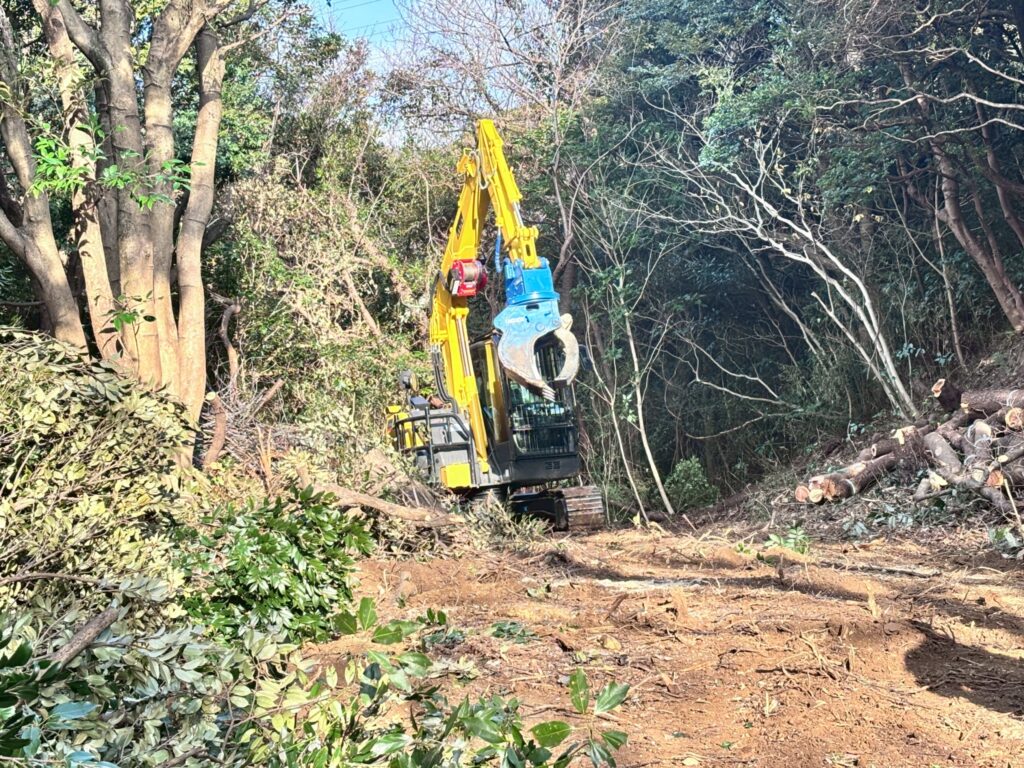 京急電鉄「三浦の森プロジェクト」の模様