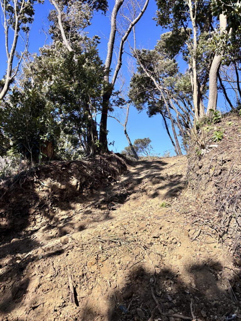 京急電鉄「三浦の森プロジェクト」の模様