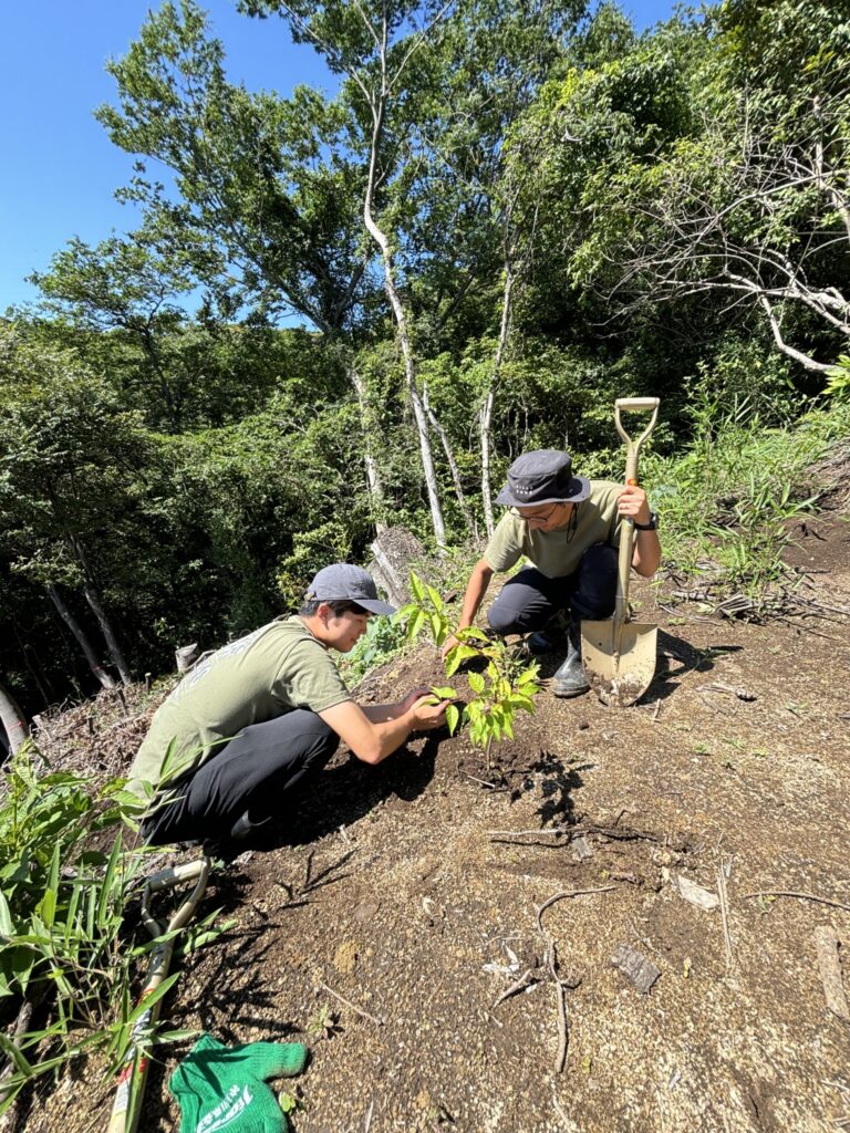 京急電鉄「三浦の森プロジェクト」の模様
