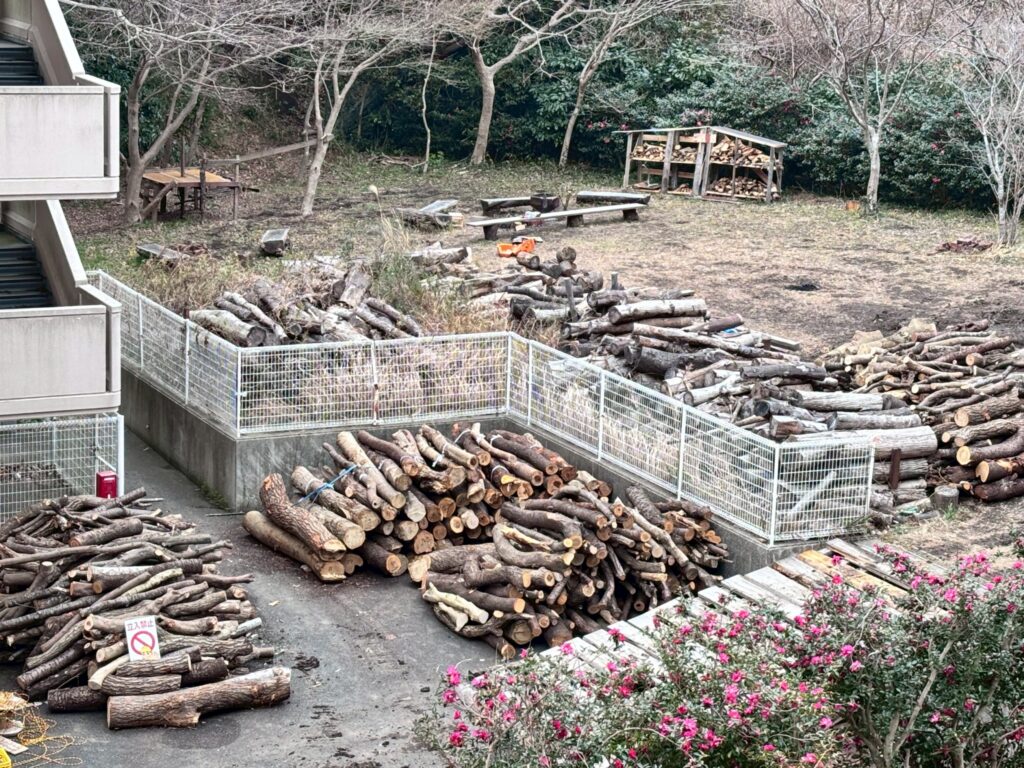 京急電鉄「三浦の森プロジェクト」の模様