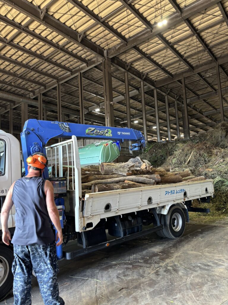 京急電鉄「三浦の森プロジェクト」の模様