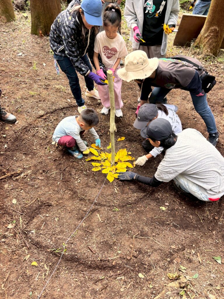 ランドアートワークショップの模様