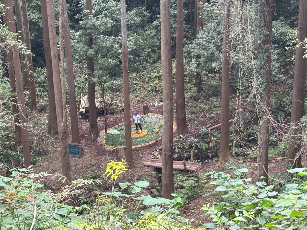 ランドアートワークショップの模様