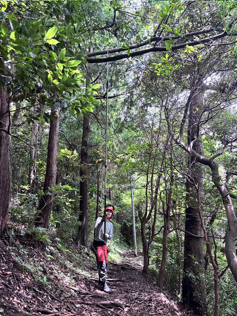 仙元山ハイキングコース内倒木処理の模様