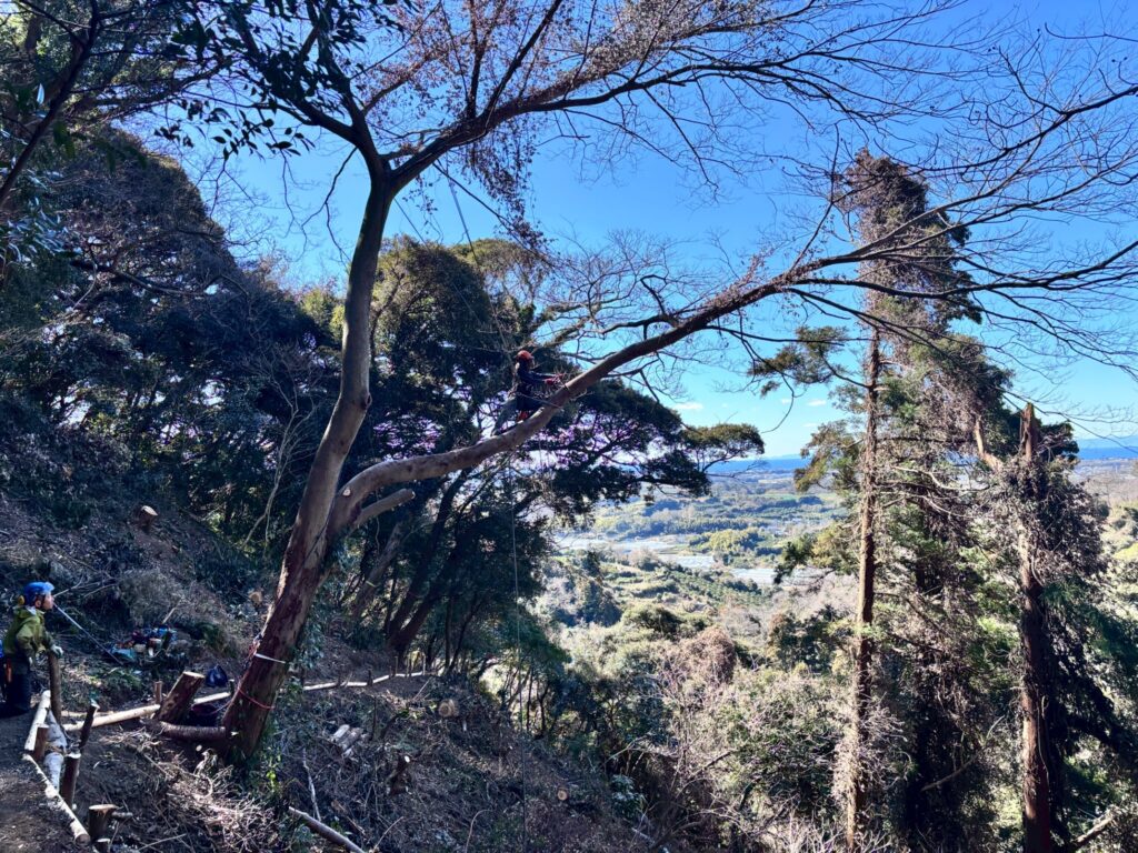 森と人をつなぐ取り組み　〜横須賀市・森林整備モデル事業〜